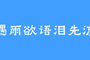 遇雨欲语泪先流