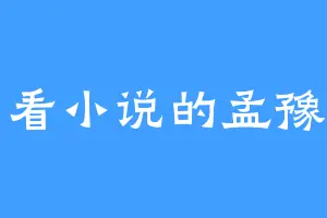 爱看小说的孟豫棠