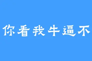 你看我牛逼不