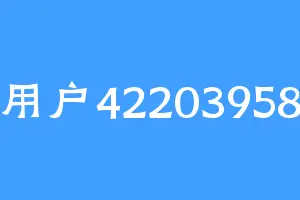 用户42203958