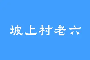 坡上村老六