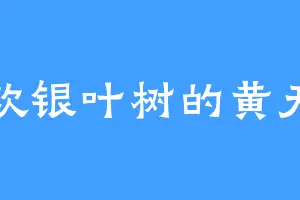 喜欢银叶树的黄天令