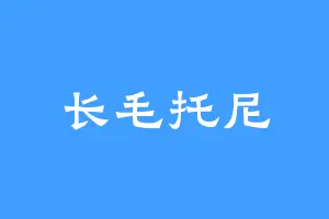 长毛托尼