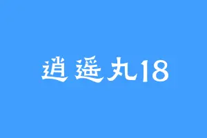 逍遥丸18