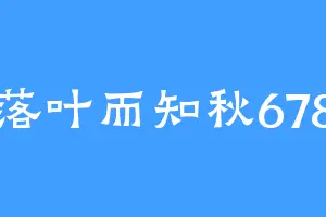 落叶而知秋678