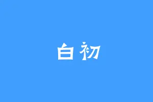 白初