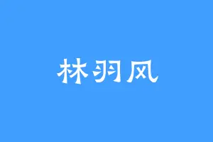 林羽风