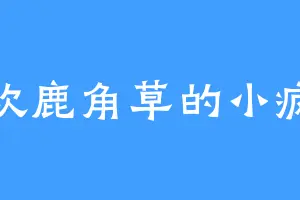 喜欢鹿角草的小疯子